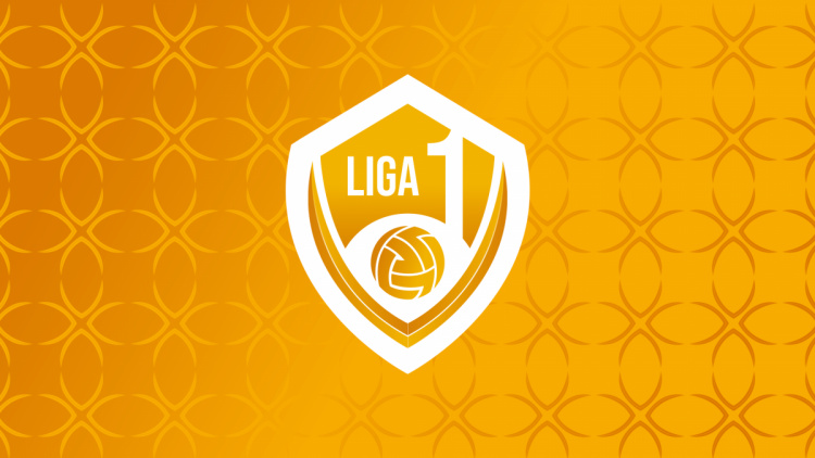 Liga 1. Totalurile campionatului 